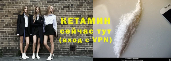 дживик Богородицк