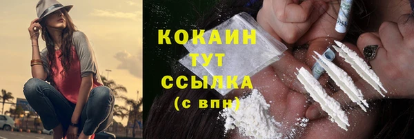 сатива Богданович