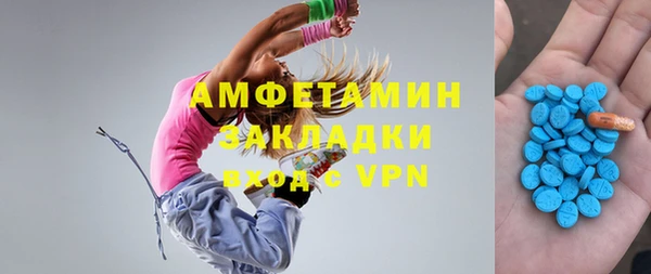 дживик Богородицк