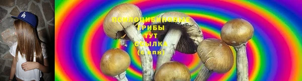 сатива Богданович