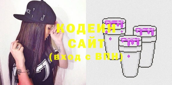 дживик Богородицк