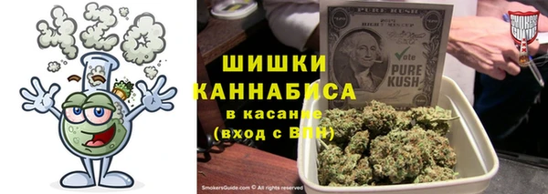 дживик Богородицк